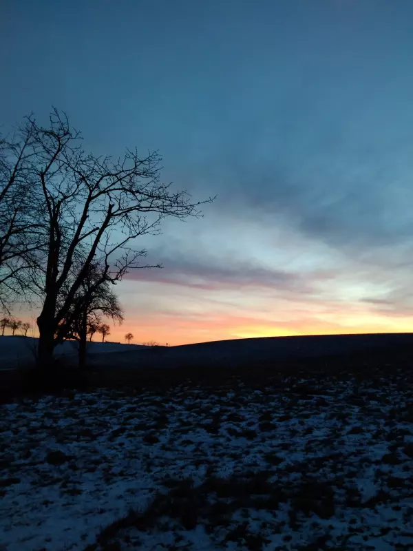 Tapтaлeтки & Ко