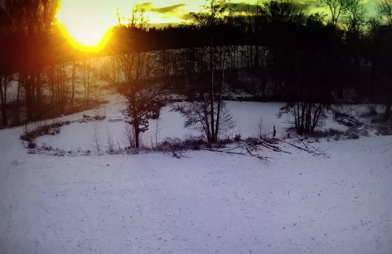 Tapтaлeтки & Ко