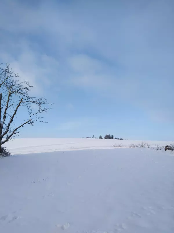 Tapтaлeтки & Ко