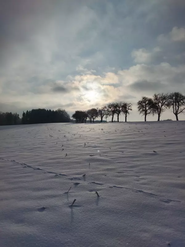 Tapтaлeтки & Ко