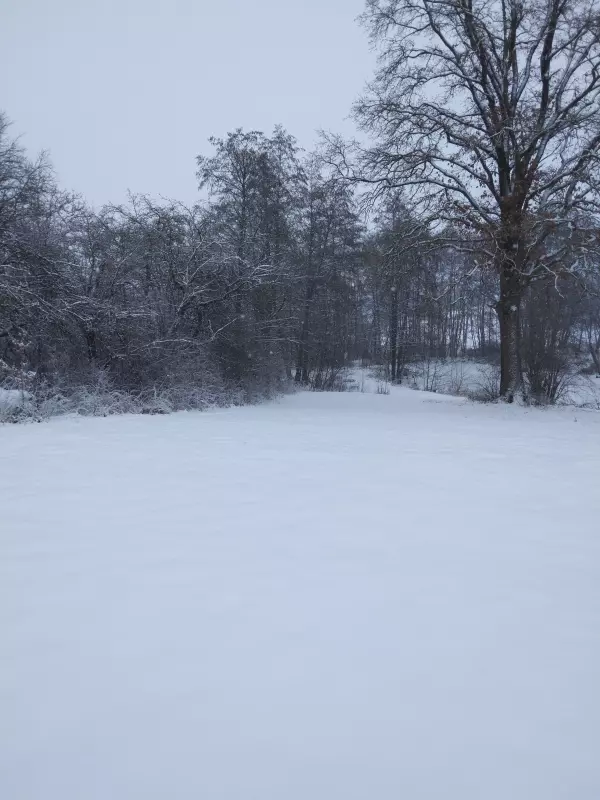 Tapтaлeтки & Ко