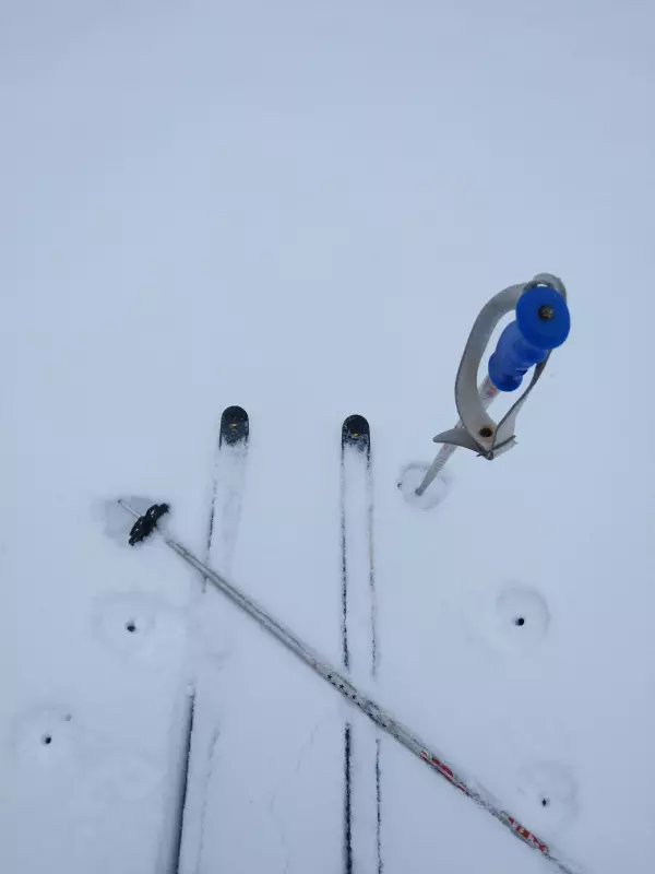 Tapтaлeтки & Ко