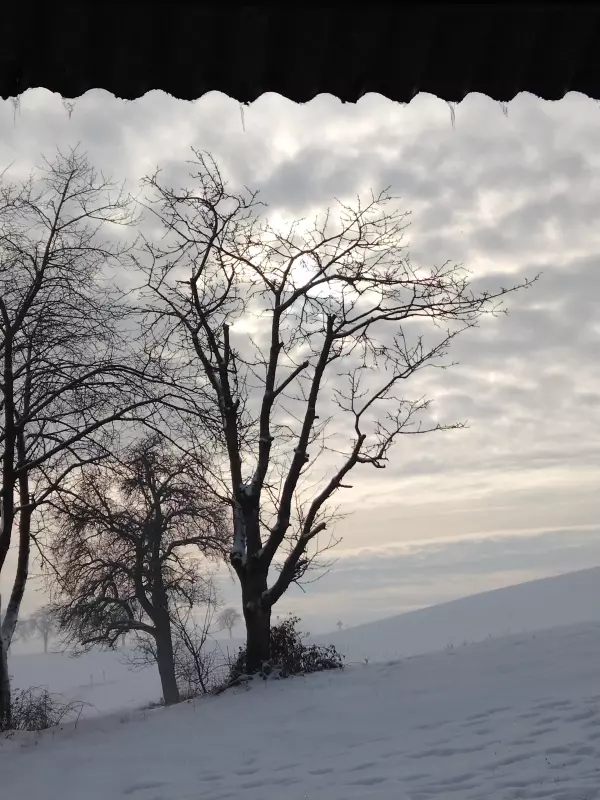 Tapтaлeтки & Ко