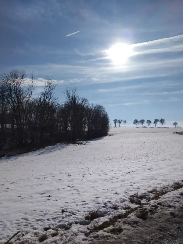 Tapтaлeтки & Ко