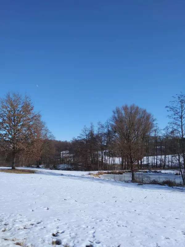 Tapтaлeтки & Ко