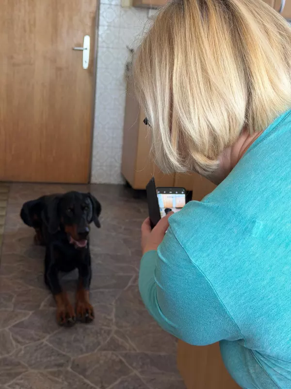 Tapтaлeтки & Ко