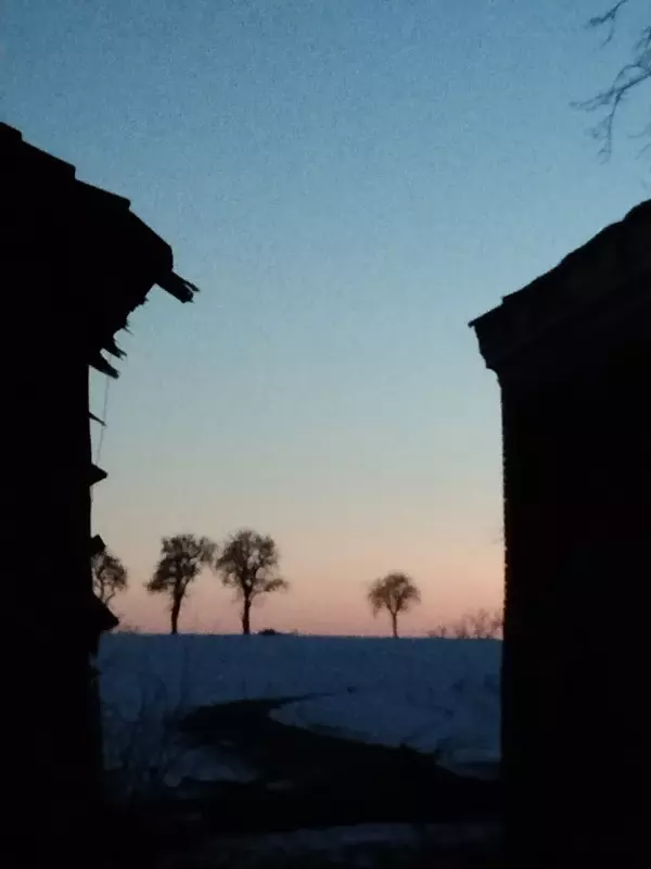 Tapтaлeтки & Ко