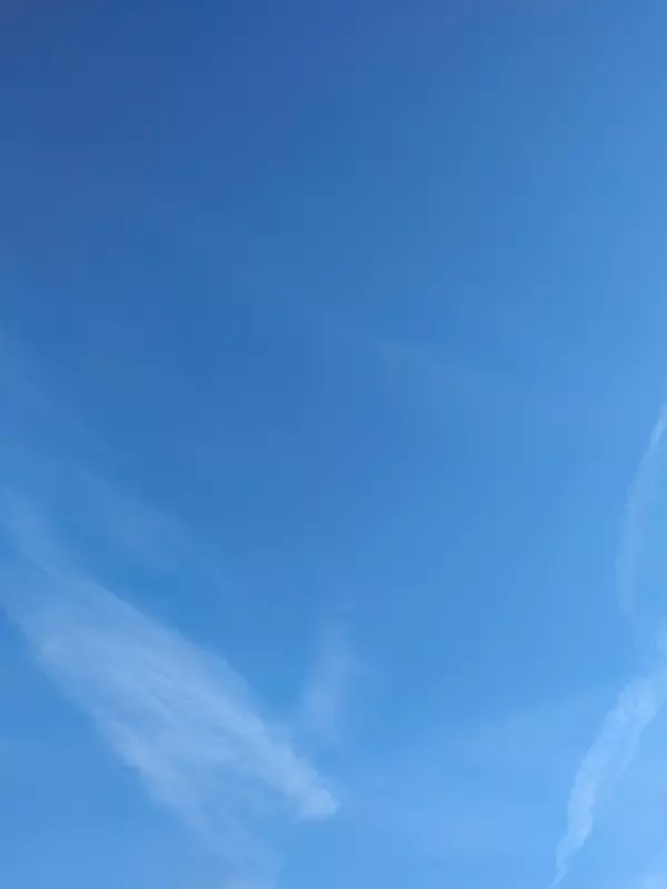 Tapтaлeтки & Ко