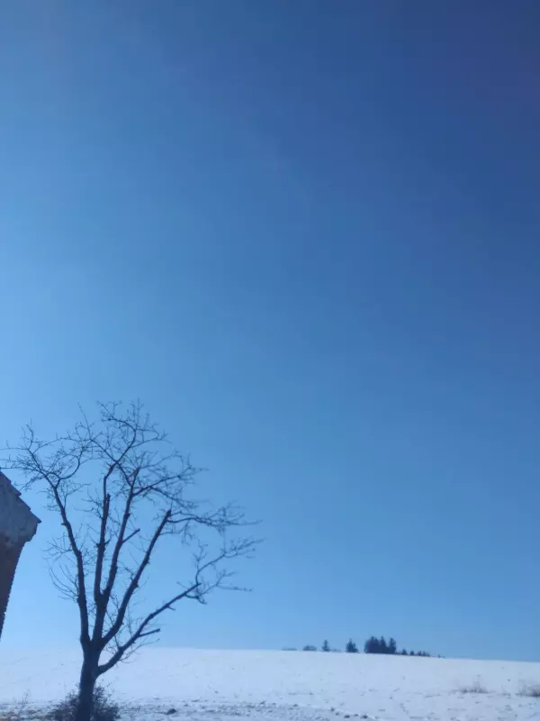 Tapтaлeтки & Ко