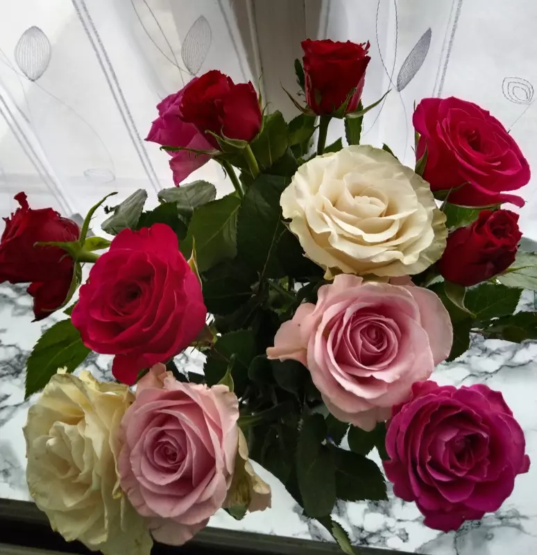 Tapтaлeтки & Ко