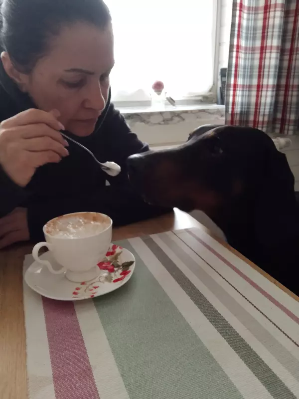 Tapтaлeтки & Ко