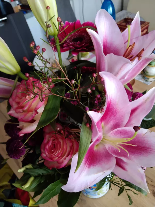 Tapтaлeтки & Ко