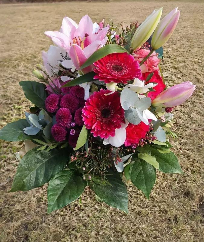 Tapтaлeтки & Ко