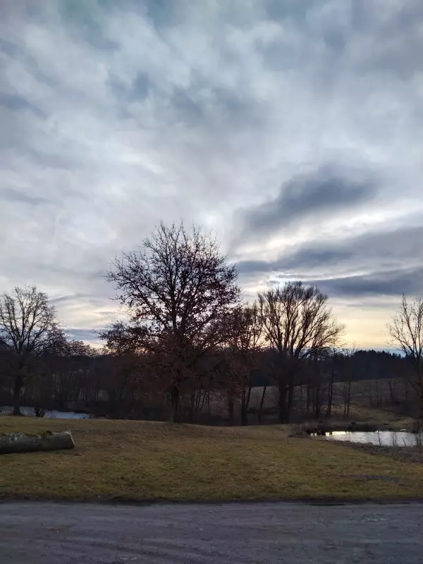 Tapтaлeтки & Ко