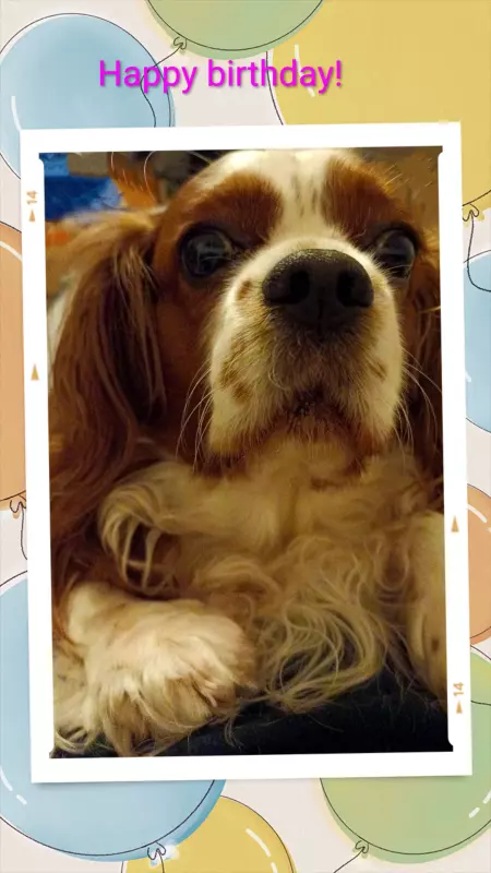 Tapтaлeтки & Ко