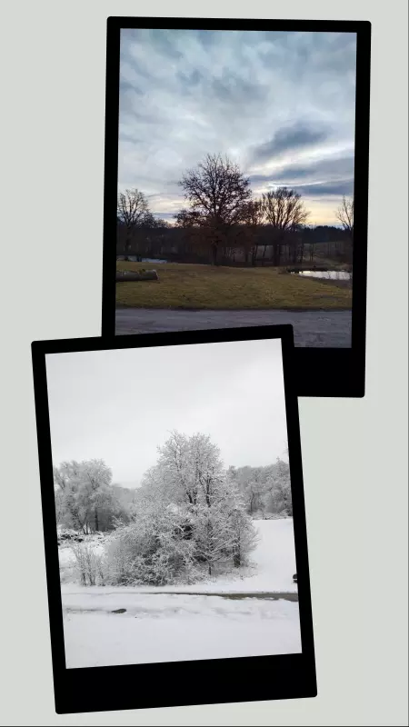 Tapтaлeтки & Ко