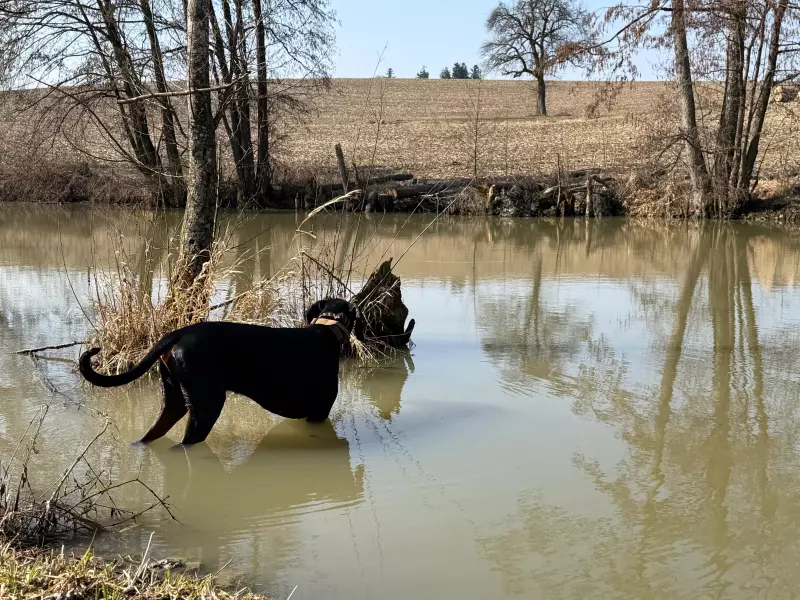 Tapтaлeтки & Ко