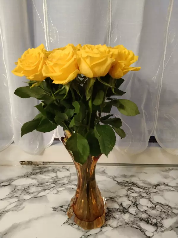 Tapтaлeтки & Ко