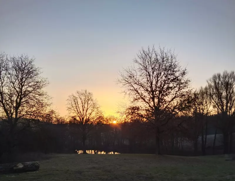 Tapтaлeтки & Ко