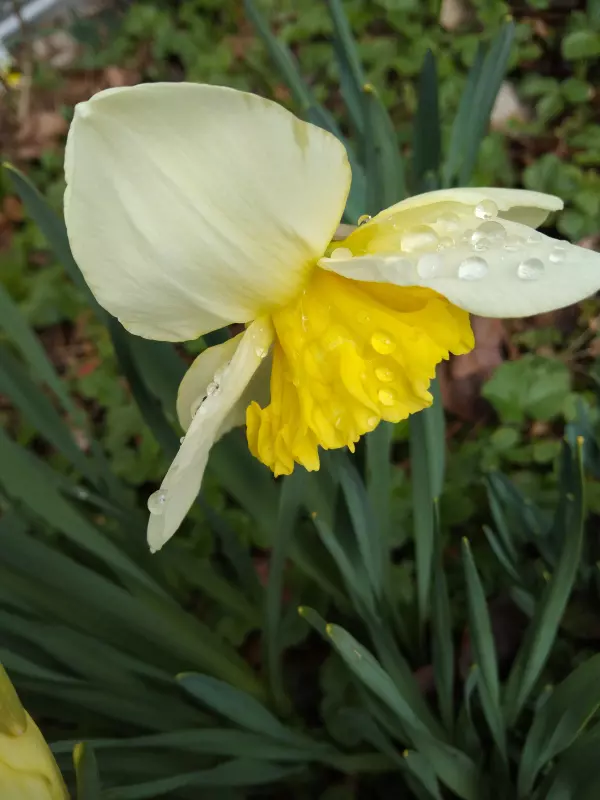 Tapтaлeтки & Ко