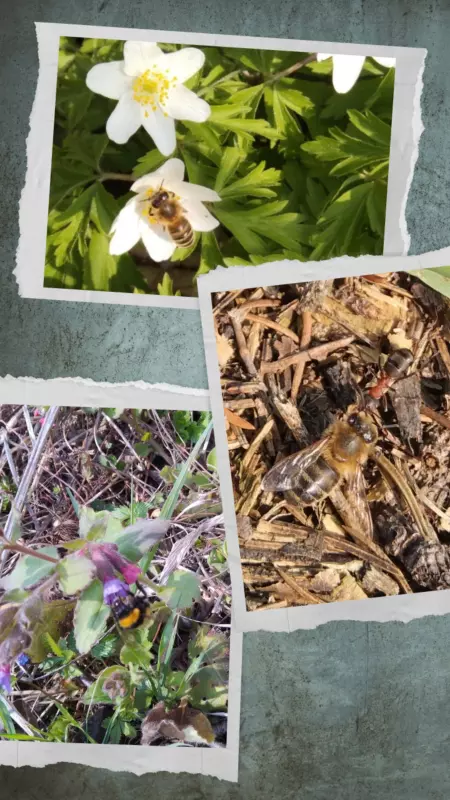 Tapтaлeтки & Ко