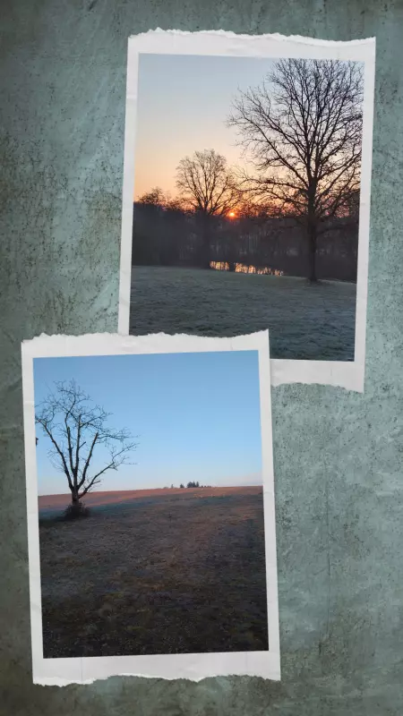 Tapтaлeтки & Ко