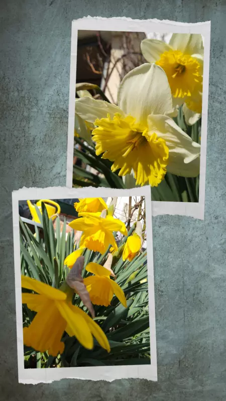 Tapтaлeтки & Ко