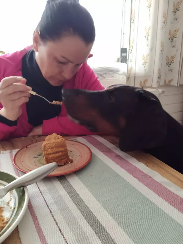 Tapтaлeтки & Ко