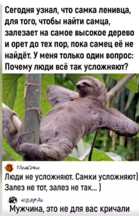 Tapтaлeтки & Ко