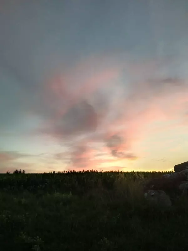 Tapтaлeтки & Ко