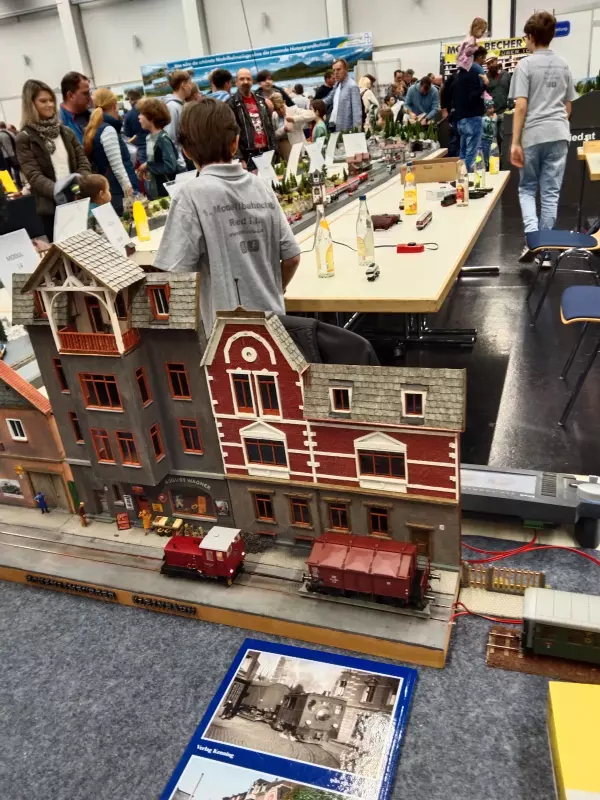 Мое австрийское житие