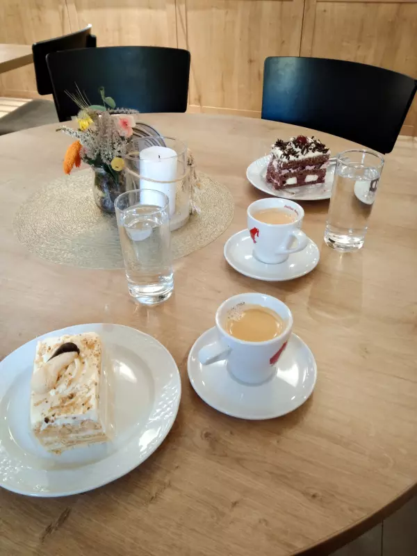 Мое австрийское житие