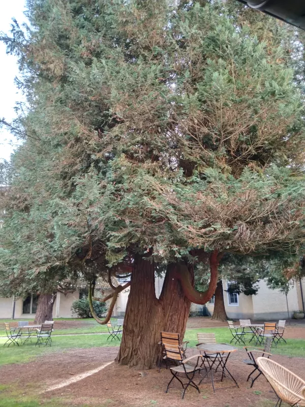 Мое австрийское житие