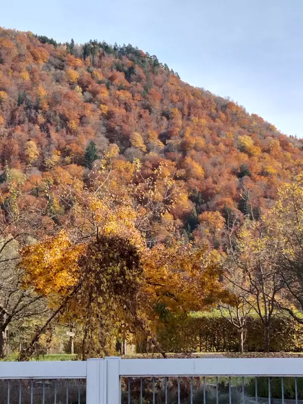 Мое австрийское житие