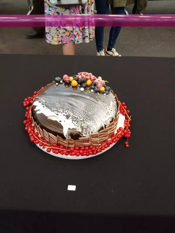 Мое австрийское житие