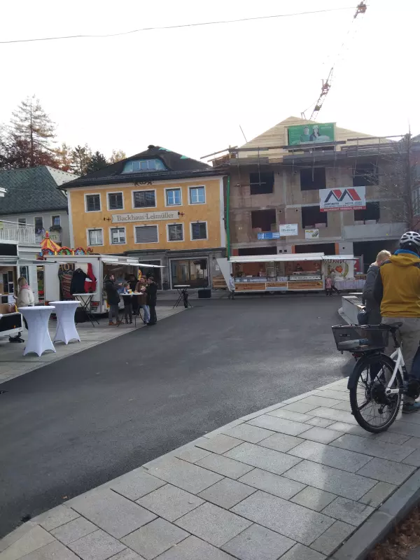 Мое австрийское житие