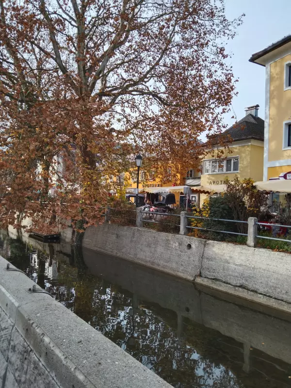 Мое австрийское житие