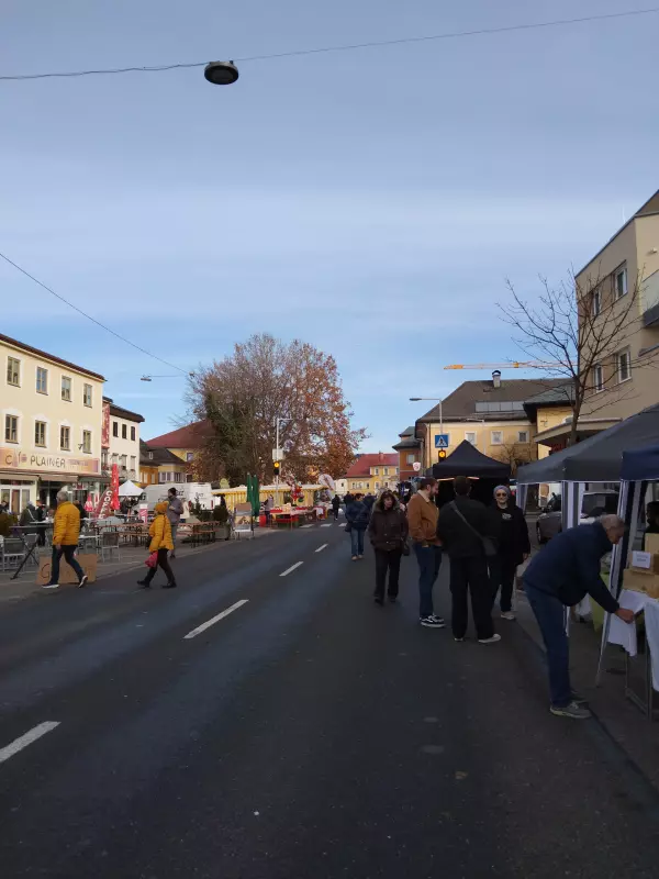 Мое австрийское житие