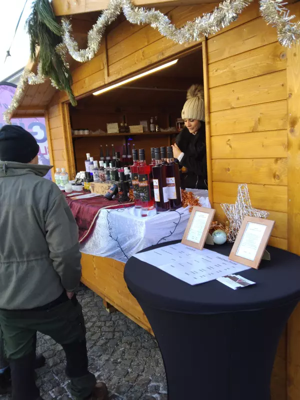 Мое австрийское житие