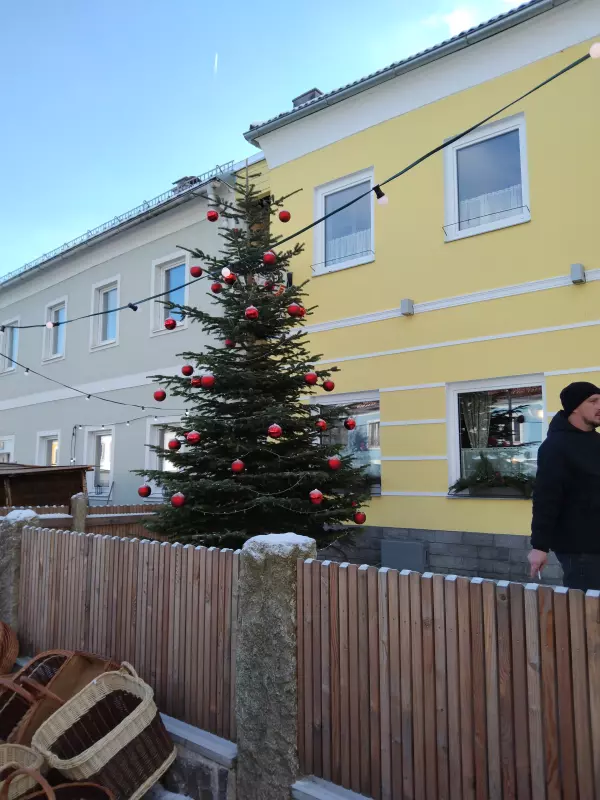 Мое австрийское житие