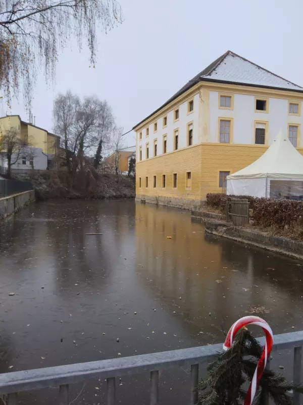 Мое австрийское житие