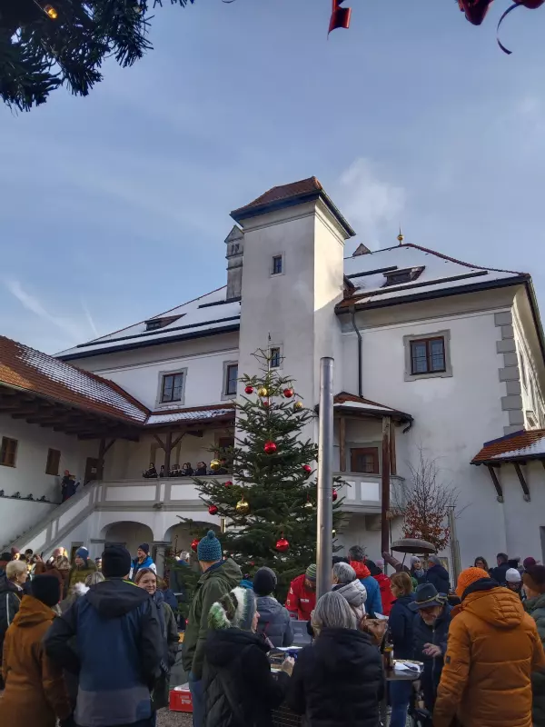 Мое австрийское житие