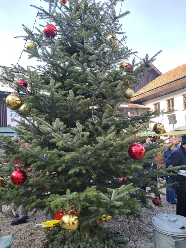 Мое австрийское житие