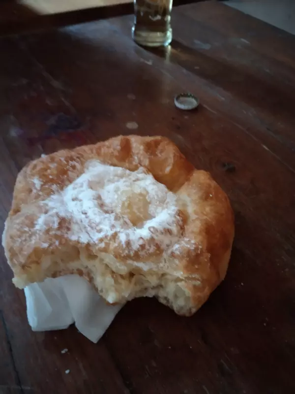 Мое австрийское житие