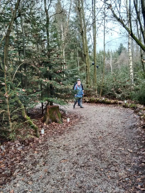 Мое австрийское житие