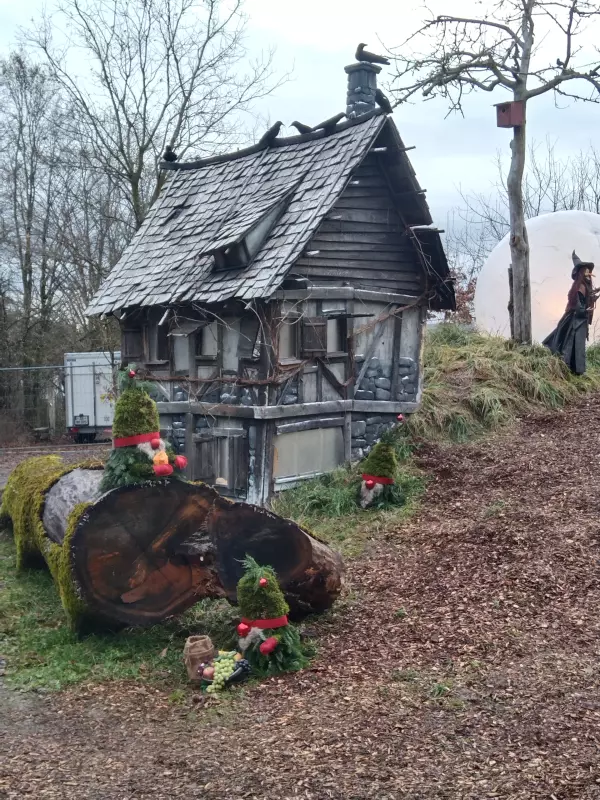 Мое австрийское житие