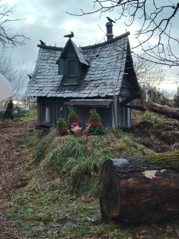 Мое австрийское житие