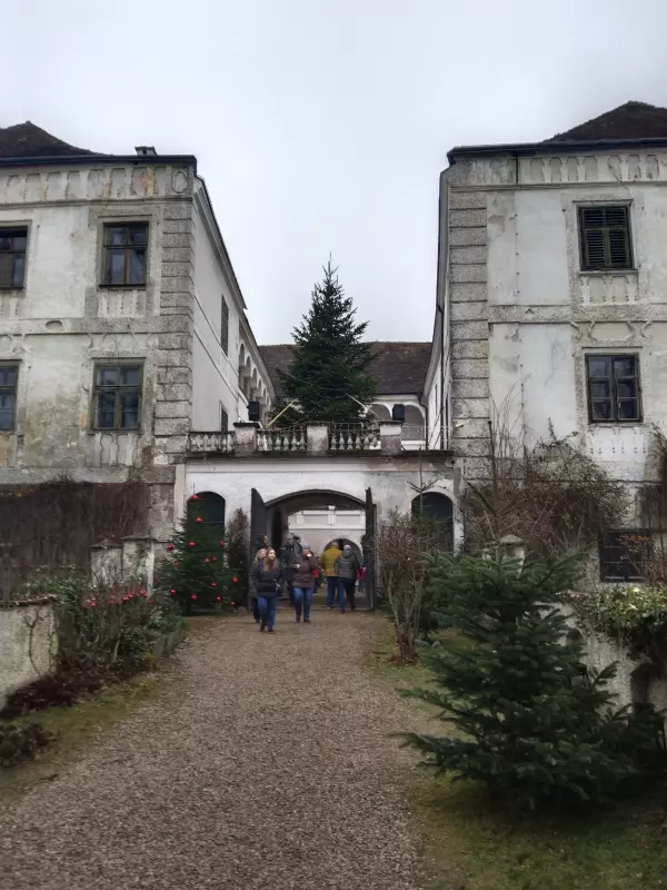 Мое австрийское житие