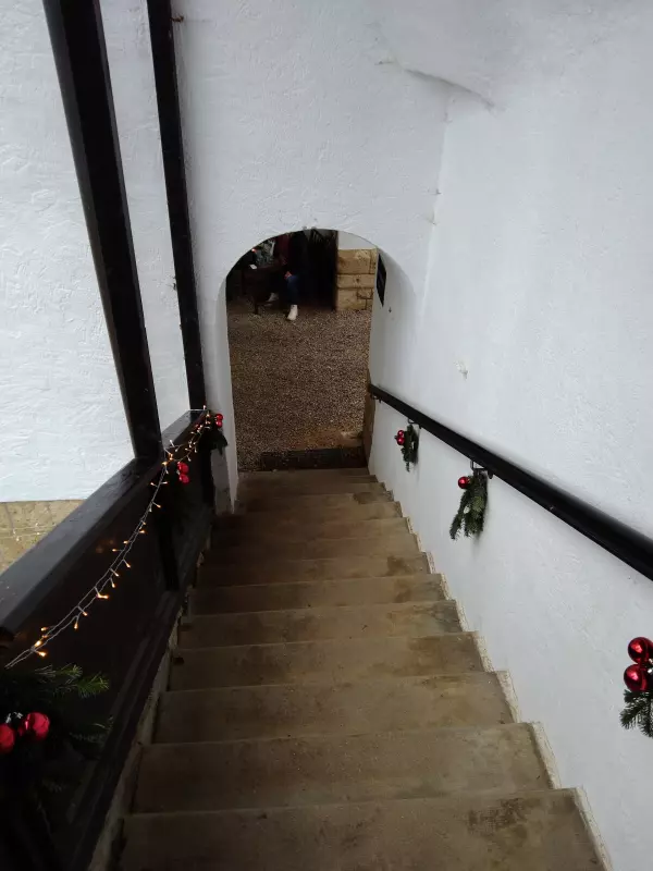 Мое австрийское житие