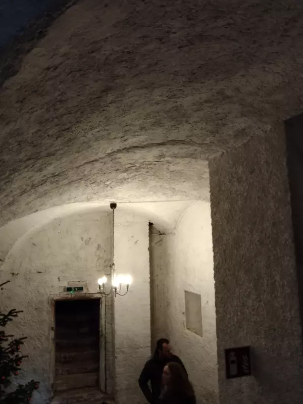 Мое австрийское житие